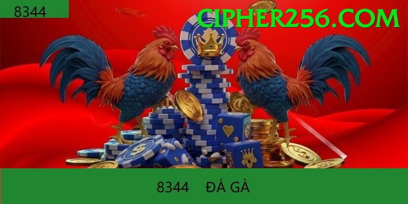 Đá Gà Trực Tiếp - Trải nghiệm tuyệt vời